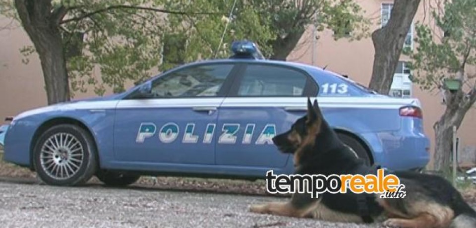 Cassino / Il fiuto di Yago scopre oltre 400 grammi di droga, arrestato un ventiseienne