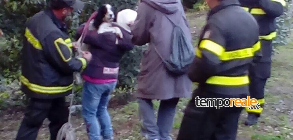 Gaeta / La cagnolina “Eli” salvata dai vigili del fuoco su Monte Orlando