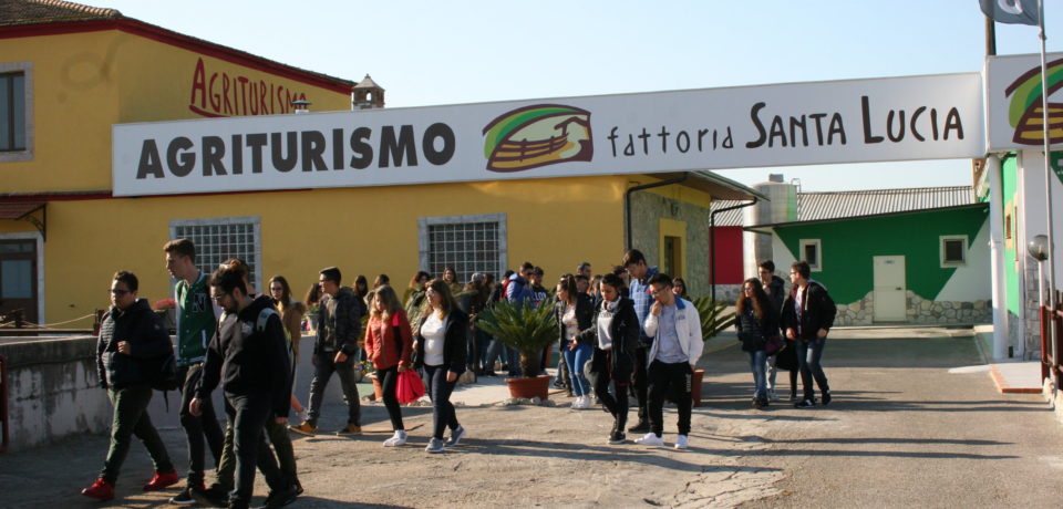 Una scommessa imprenditoriale in Terra di Lavoro: l’Agriturismo-Fattoria “Santa Lucia – A casa di Don Peppe”