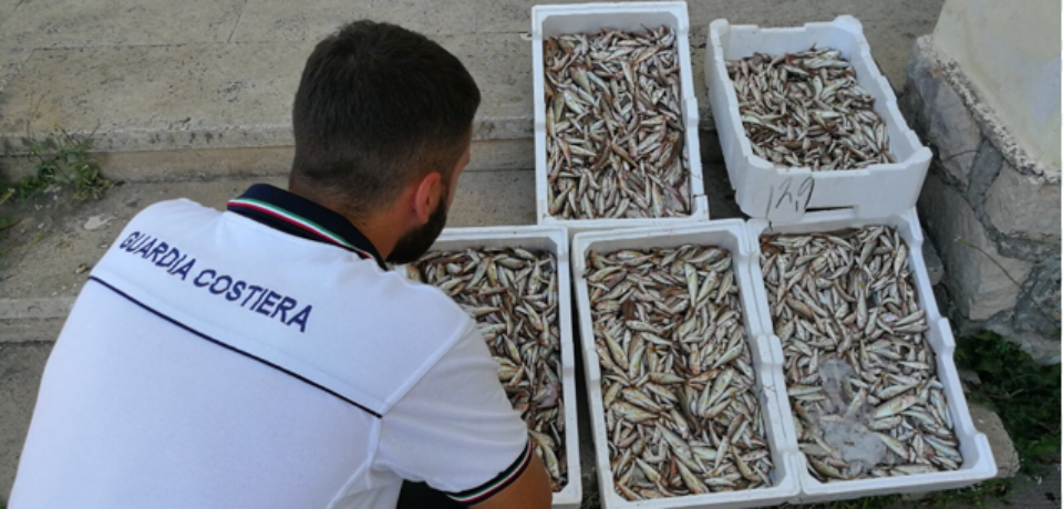 Formia / Mare Sicuro 2017, multe della Capitaneria per 13.500 euro