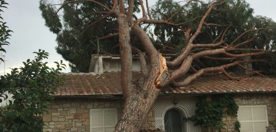 Terracina / Maltempo, alberi crollano sulle case presso Lido di Giove