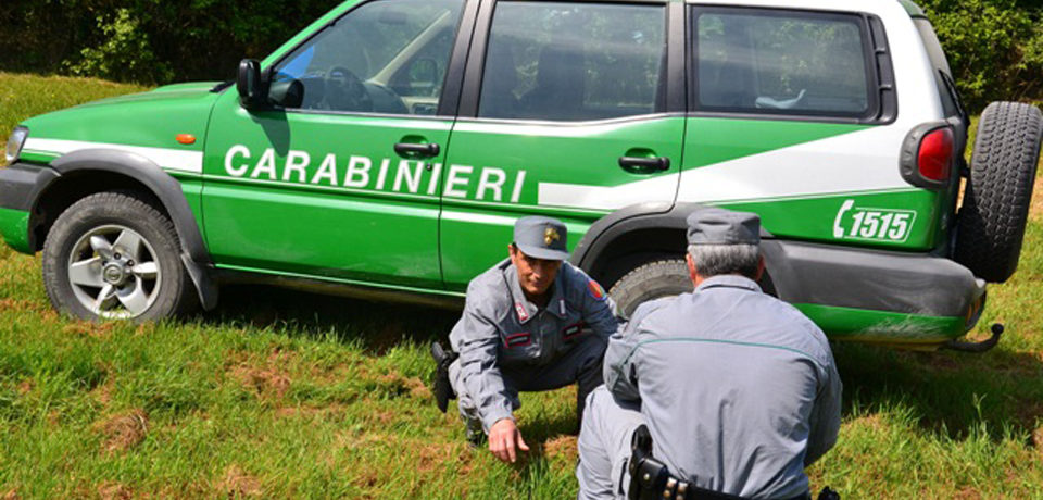 Terracina / Gestione illecita dei rifiuti: sequestrata area di 11mila mq, due denunce