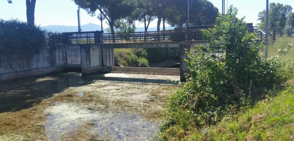 Siccità, a rischio le colture. Coldiretti chiede di garantire l’irrigazione per altre due settimane