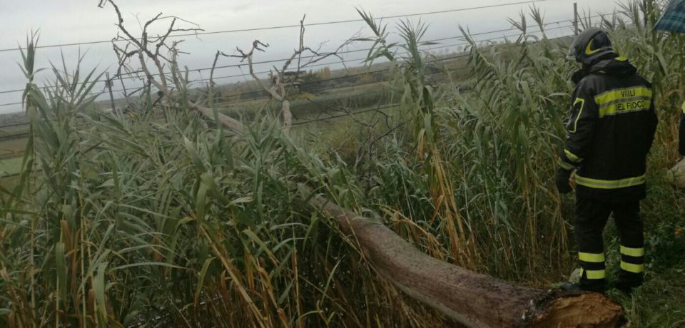 Formia / Ritardi dei treni fino a 90 minuti per un albero caduto a Sezze sui binari della Roma – Napoli