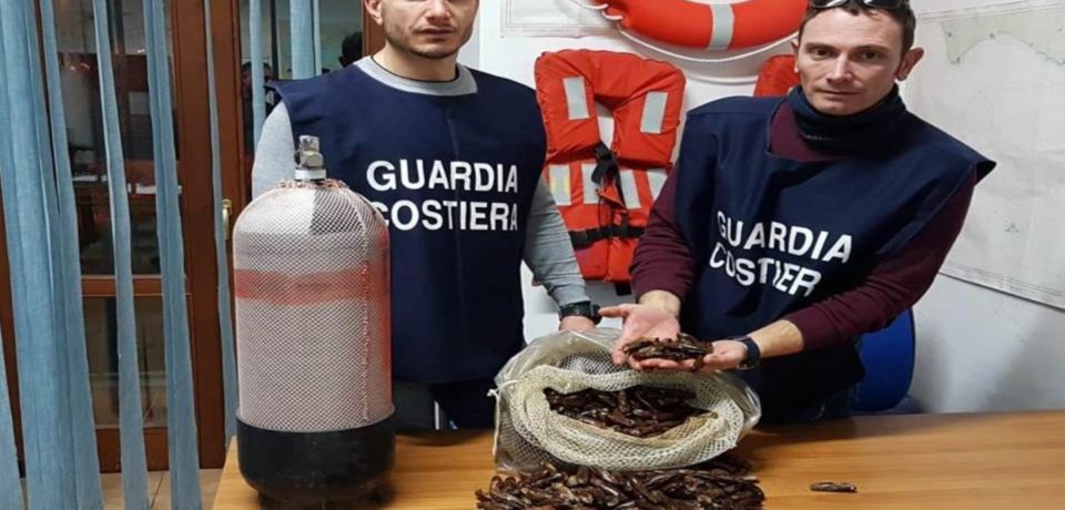 Minturno / Pesca di frodo, sequestrati 20 chili di datteri di mare: una denuncia