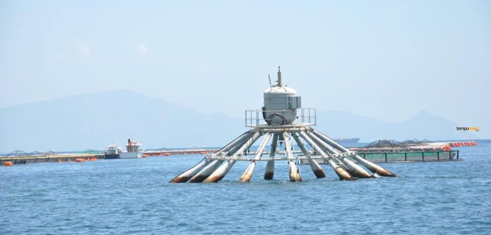 Formia / Delocalizzazione impianti di itticoltura, presentata la proposta di delibera consiliare
