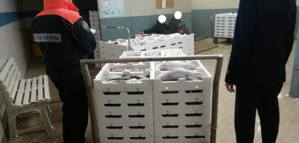 Controlli sulla filiera della pesca, sequestri e denunce a Fondi, Formia e Ponza