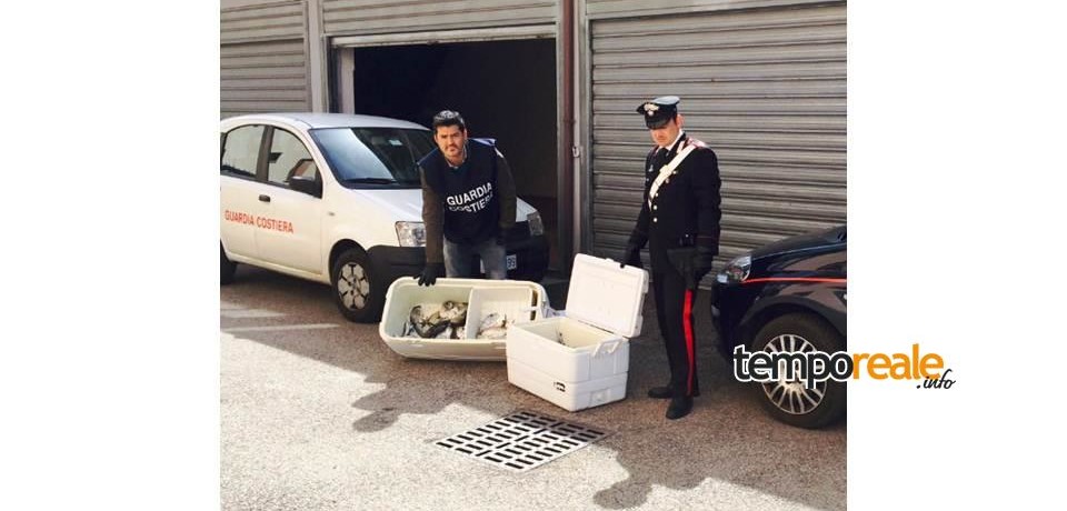 Sperlonga / Finti acquirenti, vero sequestro
