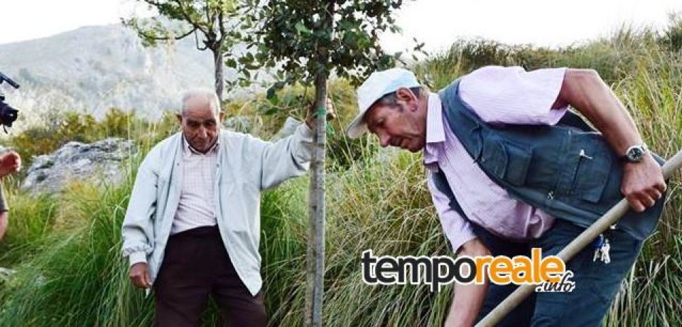 Maranola / “Il Bosco Camminante”, 99 alberi lungo il percorso di San Michele Arcangelo