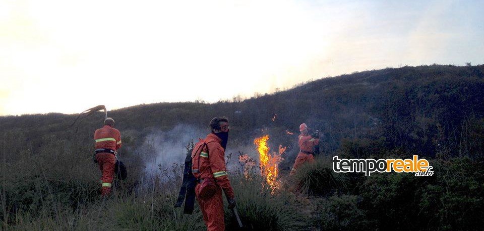 Ausonia / Fiamme in Contrada Rotondoli, intervenuto anche l’elicottero regionale