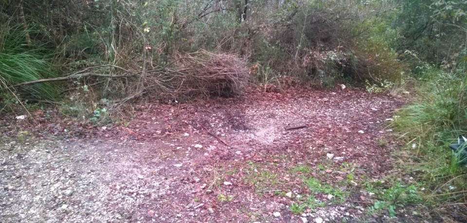 Ausonia / Bonificata la discarica di amianto nella pineta di Selvacava