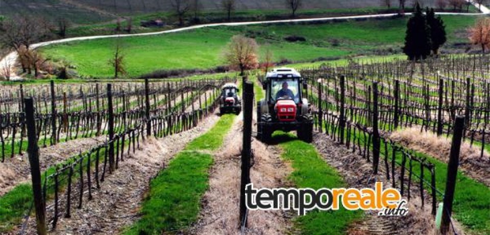 Spigno Saturnia / Corso di Formazione per Imprenditore Agricolo, scadenza domande al 31 marzo