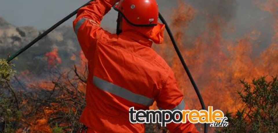 Castelforte / Vasto incendio nella Valle di Suio, distrutti 4 ettari di vegetazione