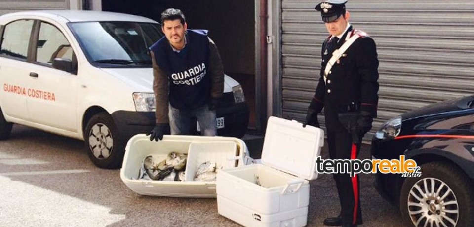 Sperlonga / Sequestrati 40 chili di pesce di dubbia provenienza