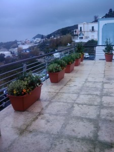 terrazza centro diurno (Medium)