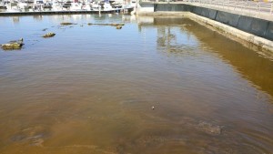 acqua sporca formia (2)