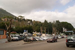 alberi decapitati cassino