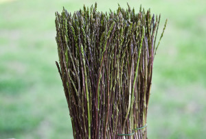 asparagi