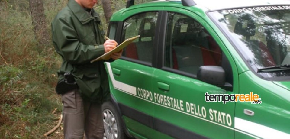 Fondi / Sorpreso a bruciare rifiuti, arrestato un 42enne