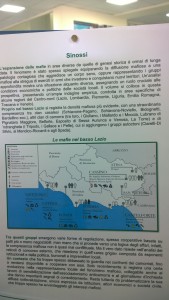 nicoletti 1
