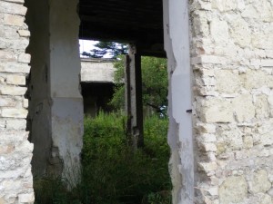 casa del contadino asilo tecla fedele santa maria infante (8)
