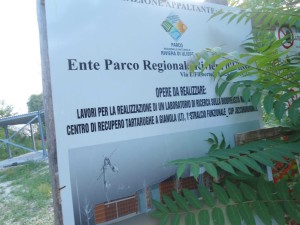 discarica parco di gianola (1)