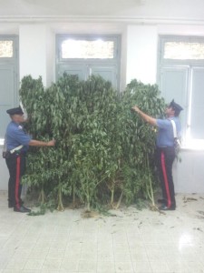 sequestro marijuana monte san biagio