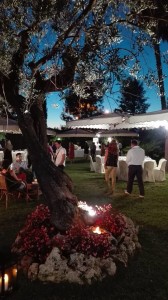 Il giardino Armonico (2)