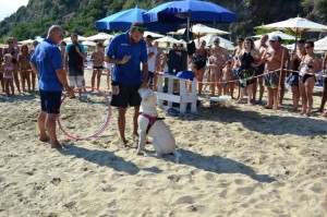 educazione cinofila in spiaggia sperlonga (5)