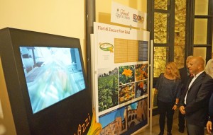 expo fondi 2015 (1)