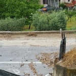 Frana a Tremensuoli (foto di Francesco Fedele)