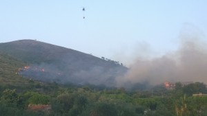 acerbara 2