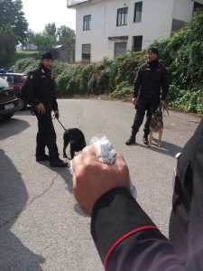 droga nelle scuole carabinieri cassino (2)
