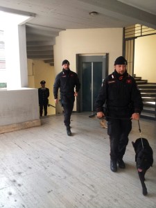 droga nelle scuole carabinieri cassino (3)
