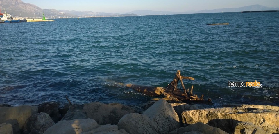 Gaeta / Alberi intralciano la navigazione
