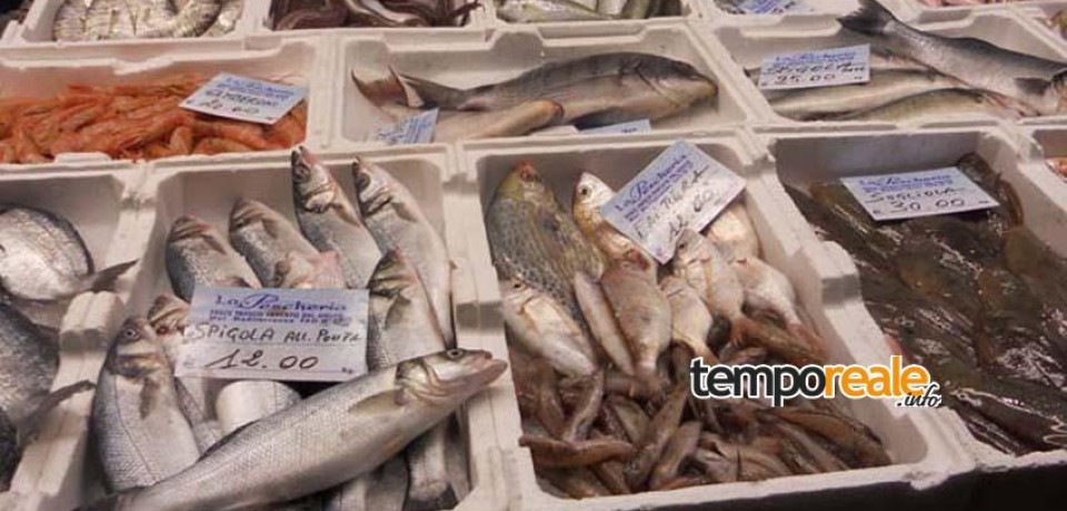Gaeta / Il Tar blocca il trasferimento del mercato del pesce