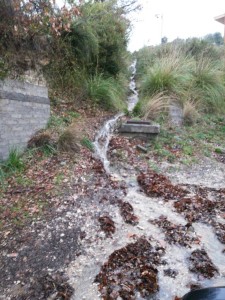 Via del Carpino Tremensuoli (2)