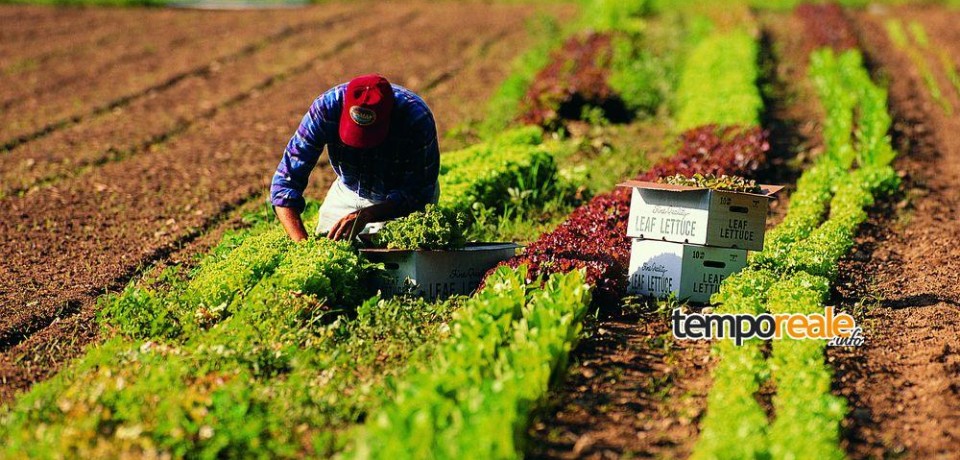 Sperlonga / Comparto agricolo, il convegno di Fratelli d’Italia