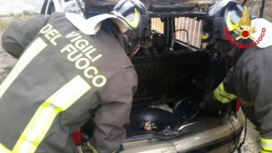panda incendiata scauri 2