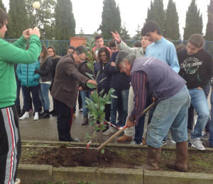 piantine liceo alberti minturno (1)