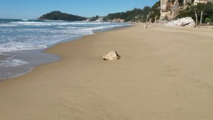 IMG-20160307-WA0020