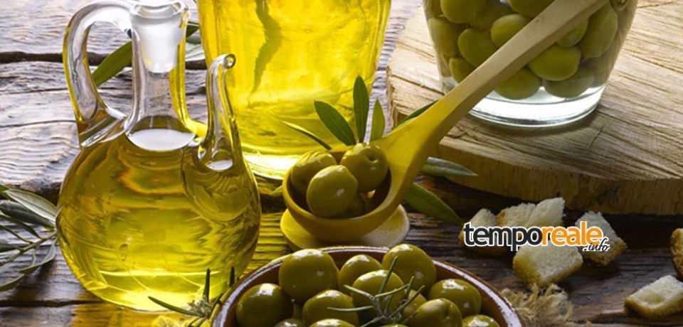 Formia / All’Ex Enaoli una giornata dedicata alla degustazione dell’olio extravergine d’oliva