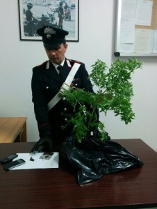 droga formia