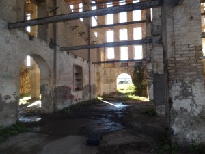 sieci scauri (10)