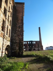 sieci scauri (13)