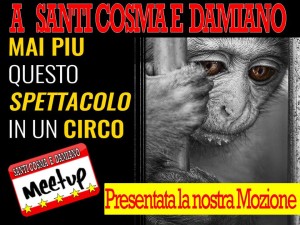 Mozione circhi animali - Slide
