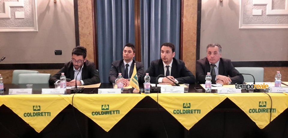 Frosinone / L’olio extravergine d’oliva ciociaro avrà un valore aggiunto grazie alla nuova IGP regionale