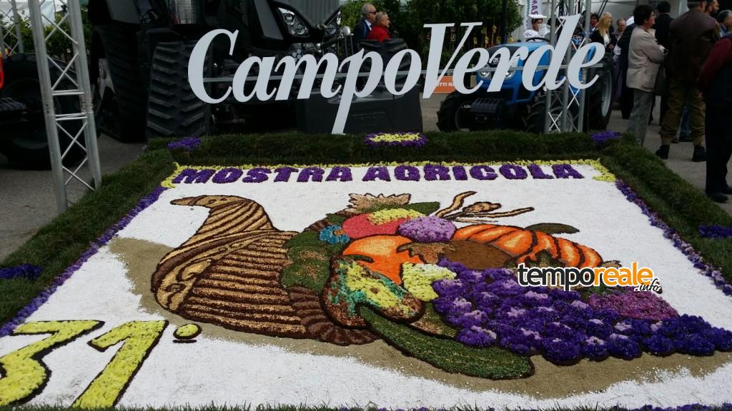 infiorata campoverde