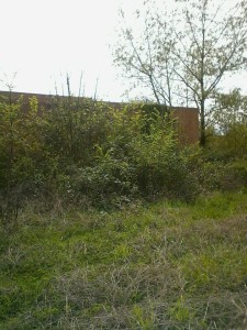scuola infanzia marina di minturno 2
