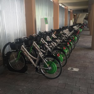 biciclette cassino